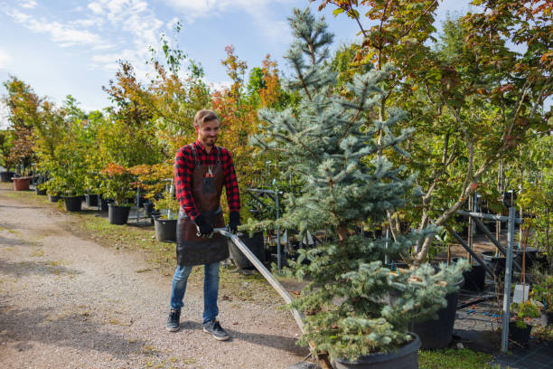 Best Dead Tree Removal  in La Center, WA